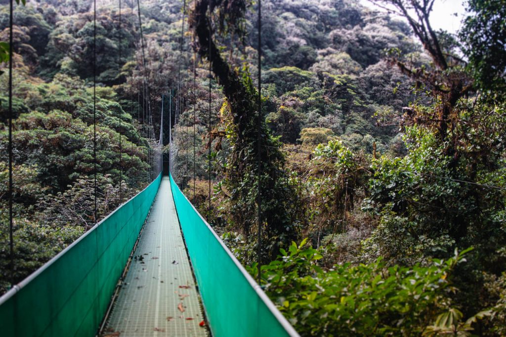 Monteverde Hanging Bridge