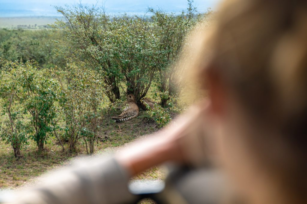 Safari photo Kenya