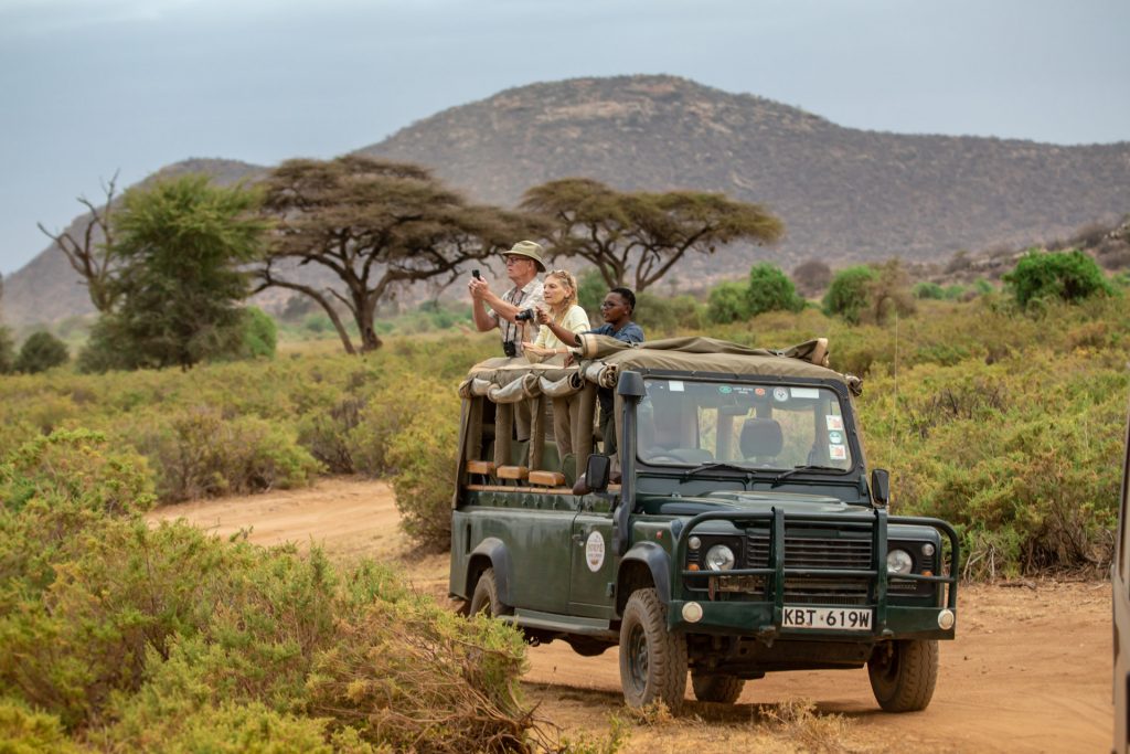 tips for safari guides