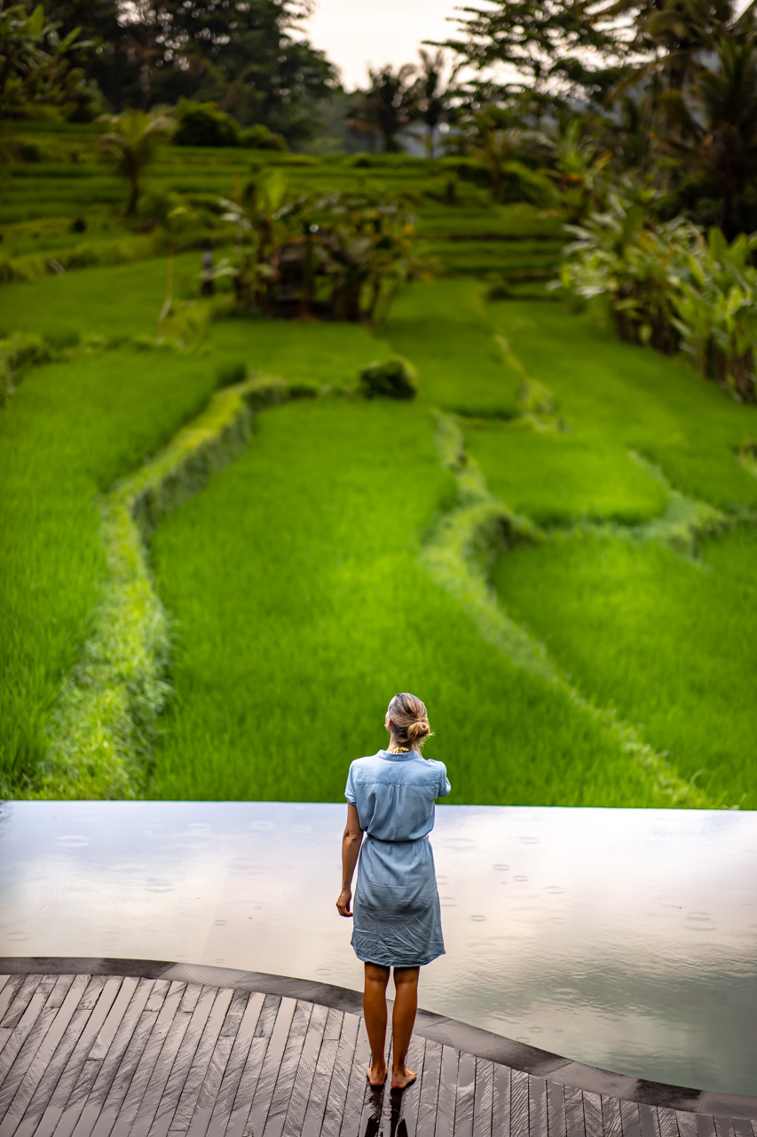 Bali Travel Photo Ricefield